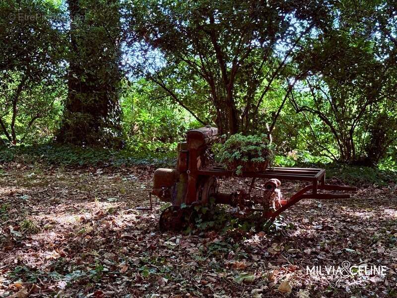 Maison à CARCASSONNE