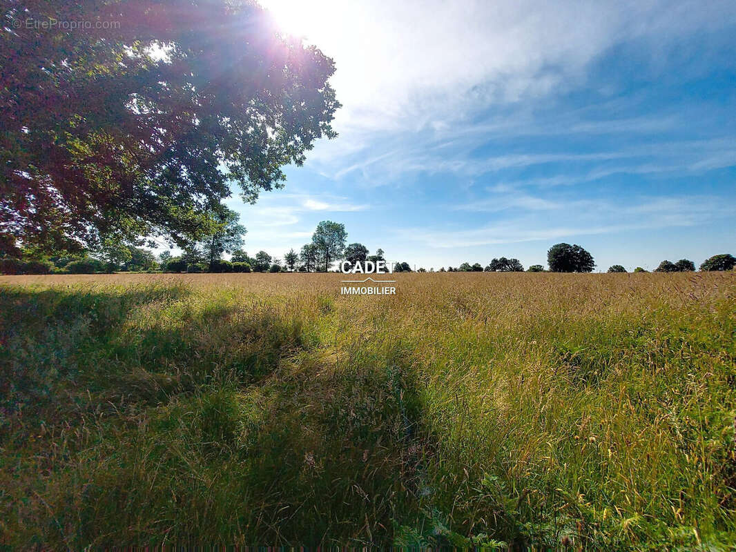 Terrain à LA HAYE-PESNEL