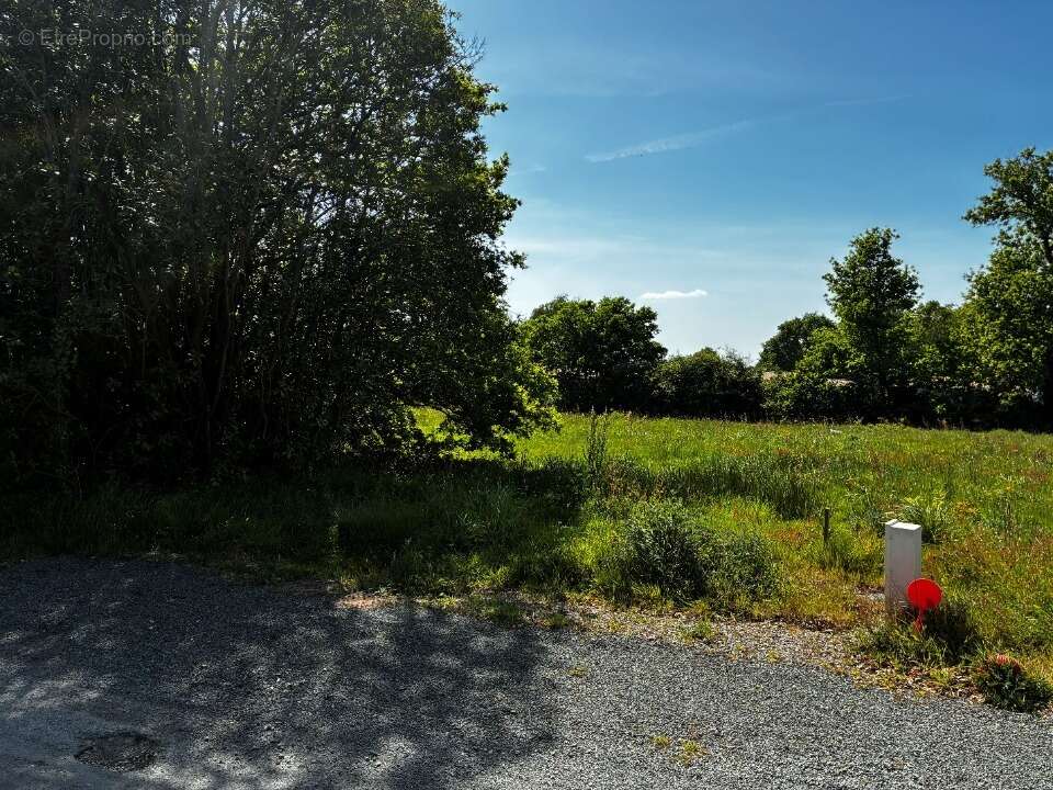 Terrain à COMMEQUIERS