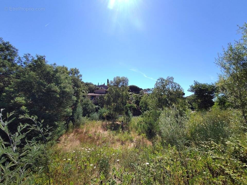 Terrain 1568 m² à Sainte-Maxime · 525 000 €