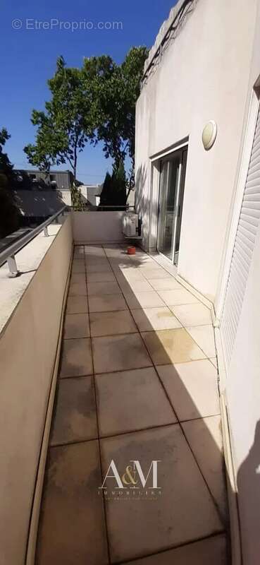 Appartement T3 , boulevard Berthelot – Montpellier - photo 5