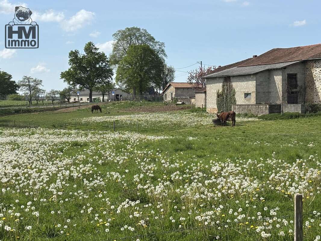 n°4 - Maison à VAYRES