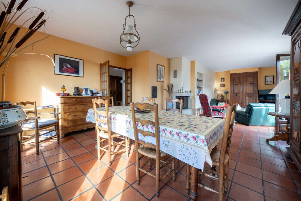 Maison 161 m² à Beaucaire  - photo 130