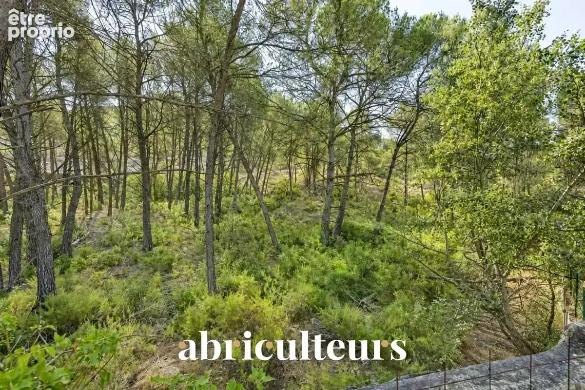 LES PENNES-MIRABEAU – Villa 230 m², piscine + 3 appartements loués - photo 14