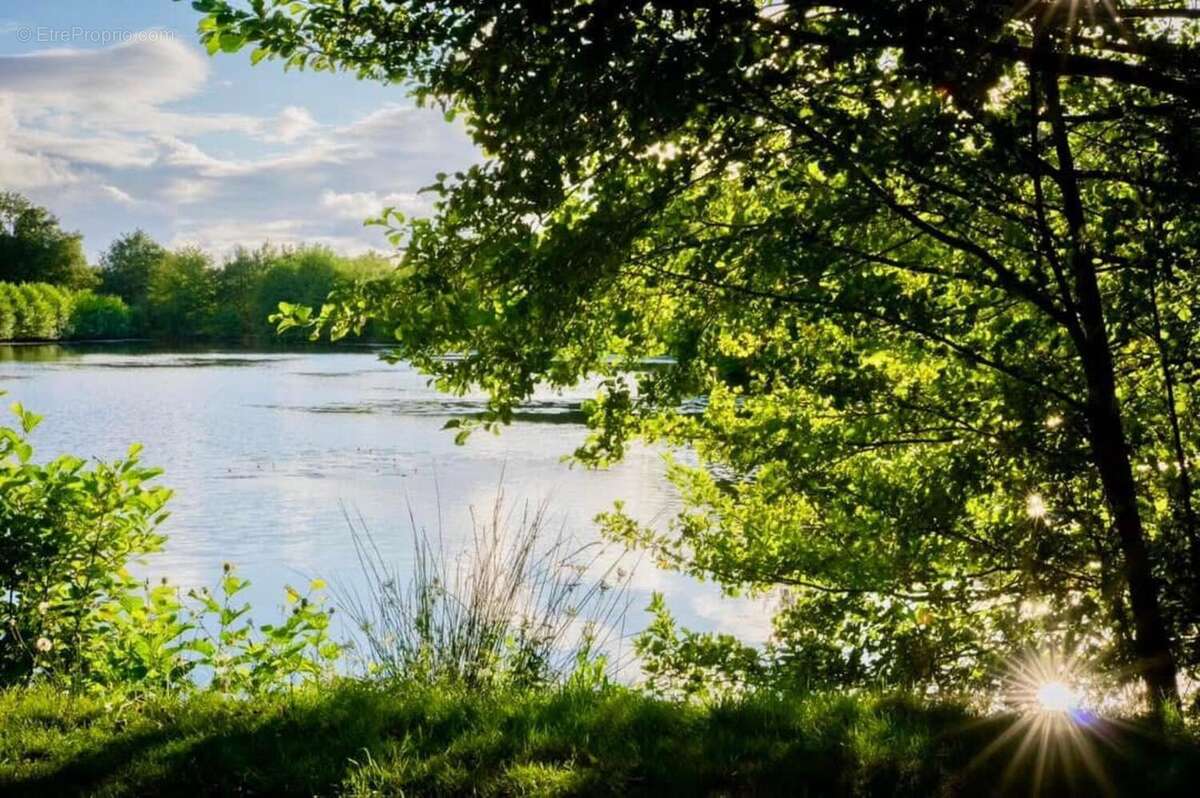 Photo 7 - Maison à LA ROCHELLE