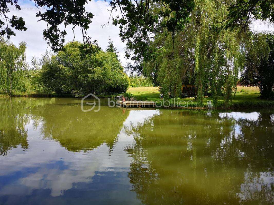 pavillon avec vie de plain pied avec terrain et plan d'eau ! - photo 16