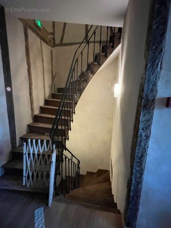 Dpt  (32) : ELEGANT CHATEAU XIX, sans travaux, bases médievales avec douves, piscine, sur 9100m2 jardin clos - photo 41