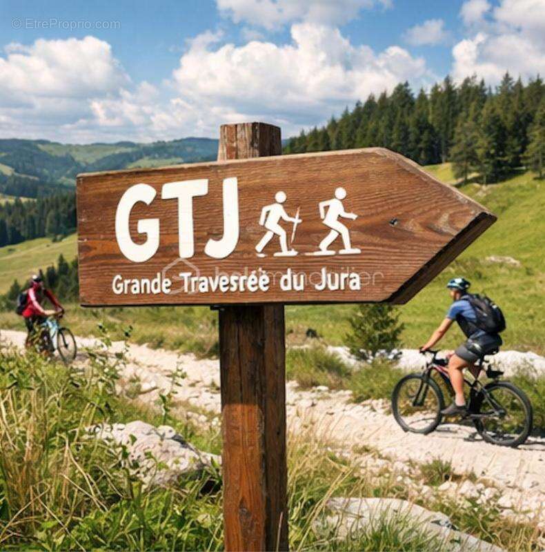 Commerce à LA PESSE