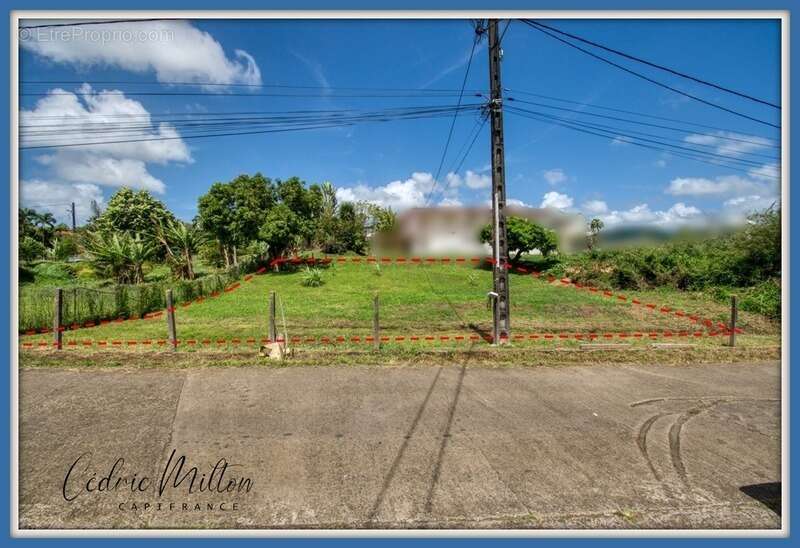 Terrain à LE LAMENTIN