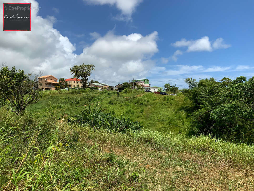 Terrain à SAINTE-MARIE