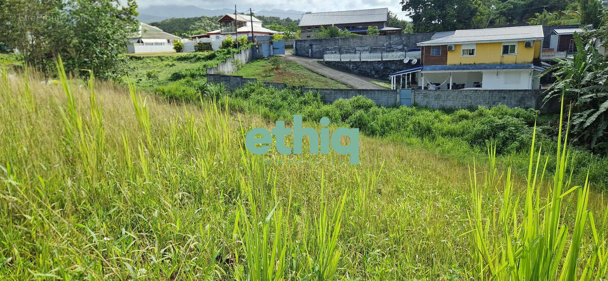 Terrain à PETIT-BOURG