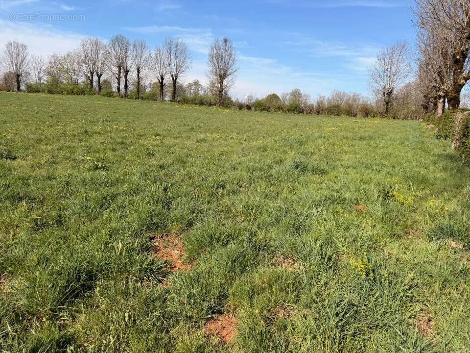 Terrain à THERONDELS