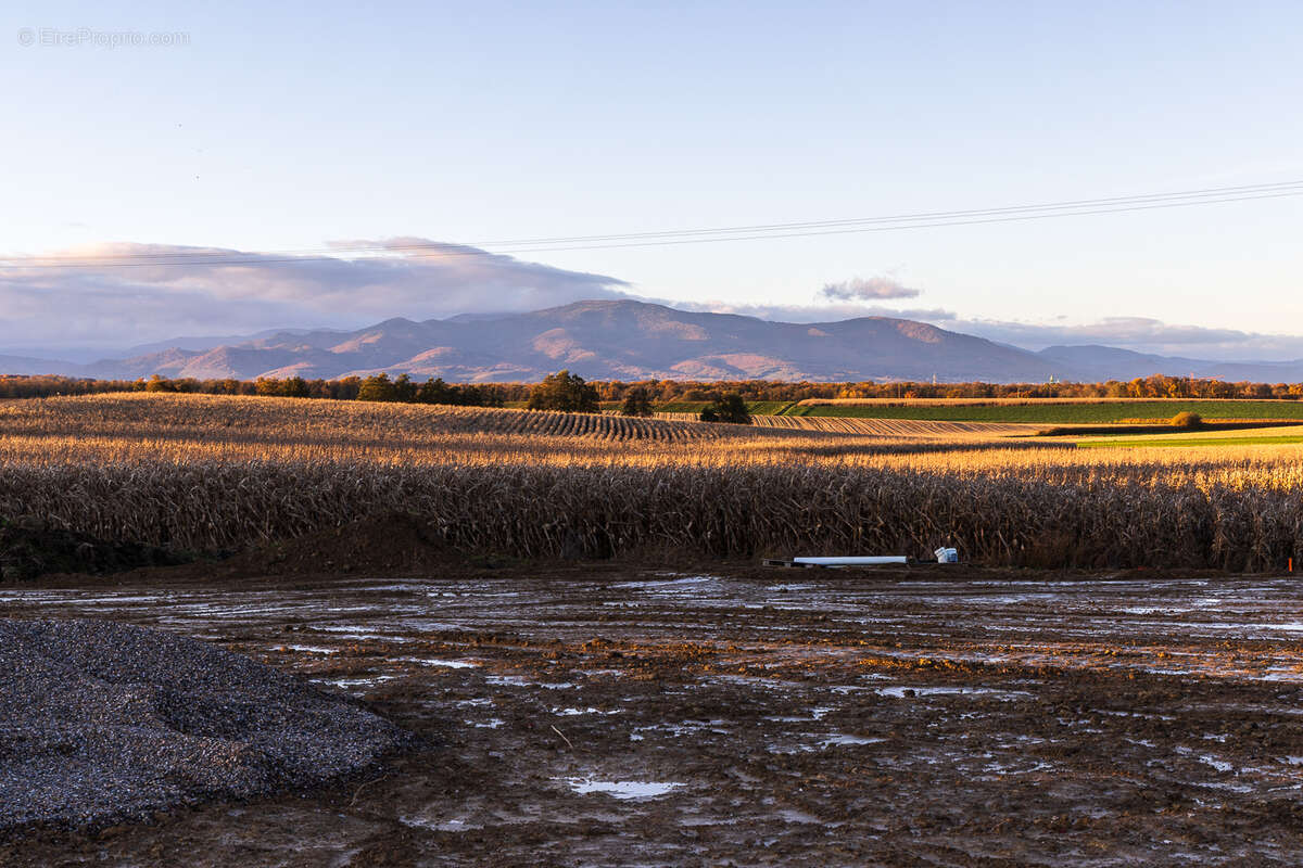 Terrain à GALFINGUE