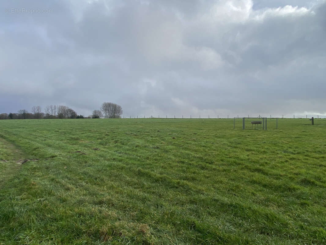 Maison à SAINT-POL-SUR-TERNOISE
