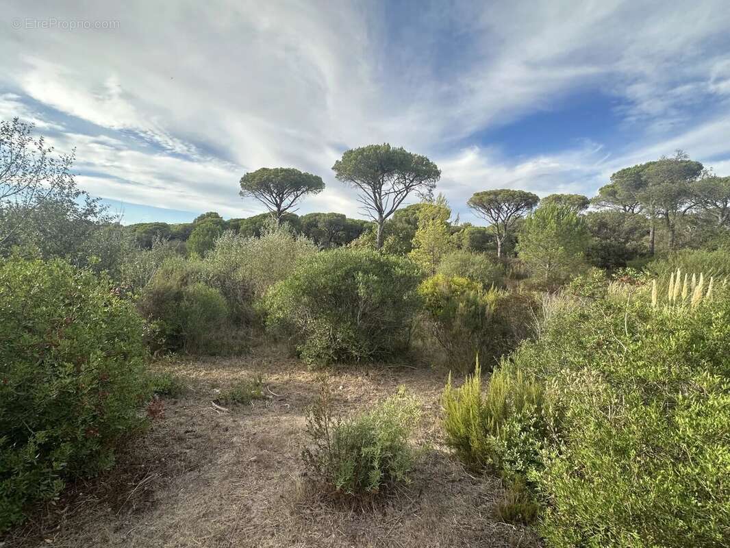 Terrain à FREJUS