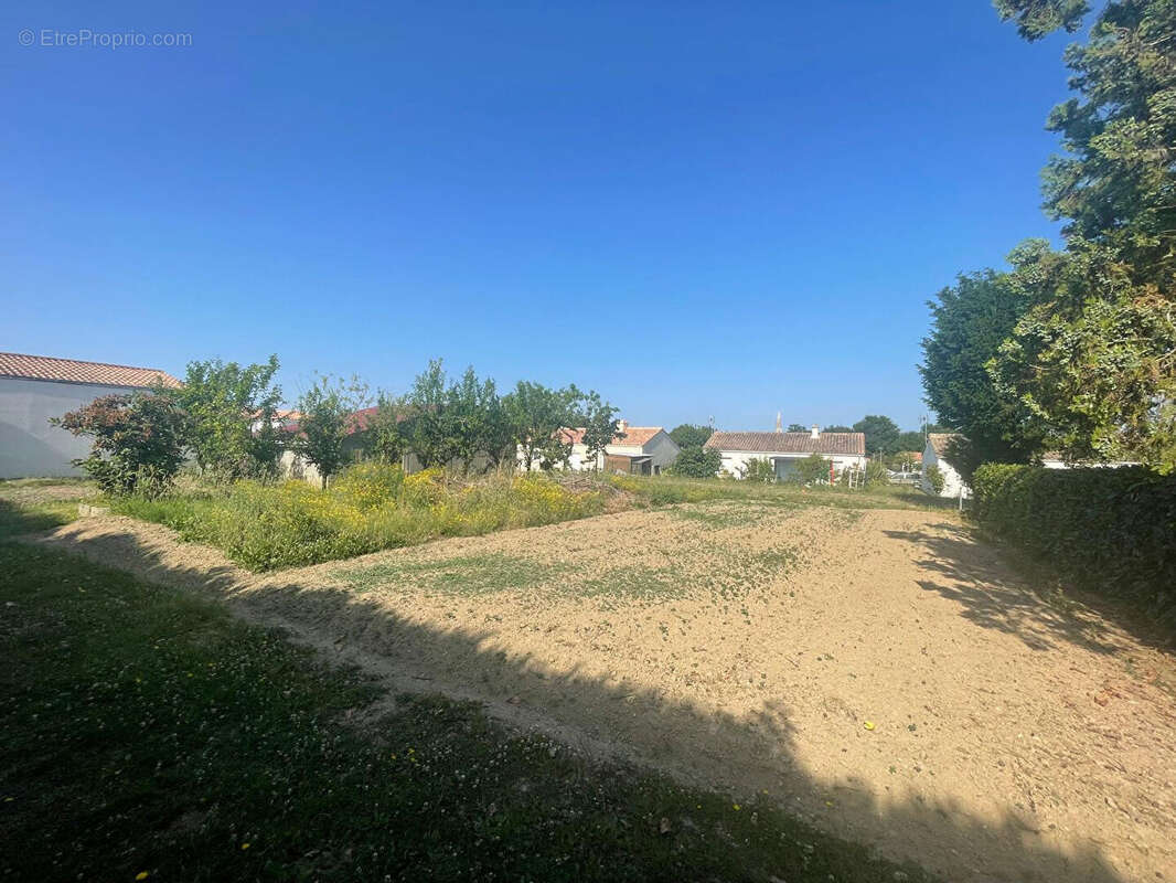 Terrain à LA CHAPELLE-ACHARD