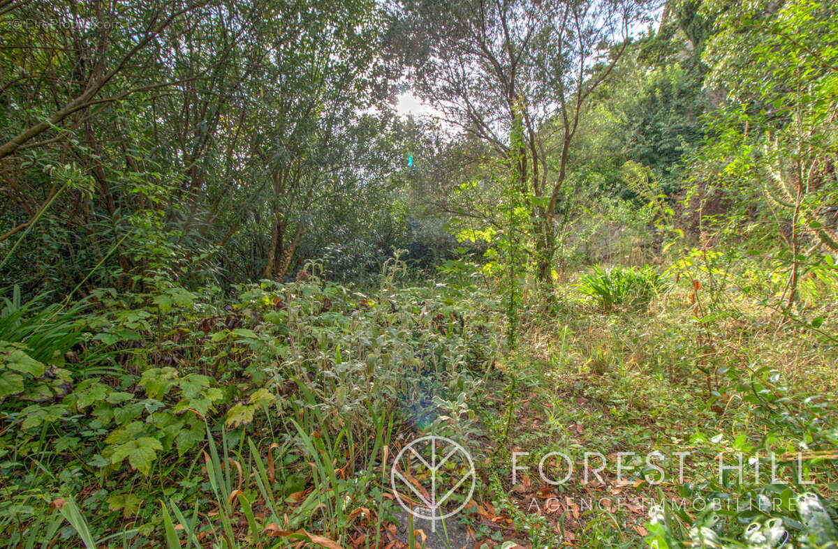 Maison à AMELIE-LES-BAINS-PALALDA