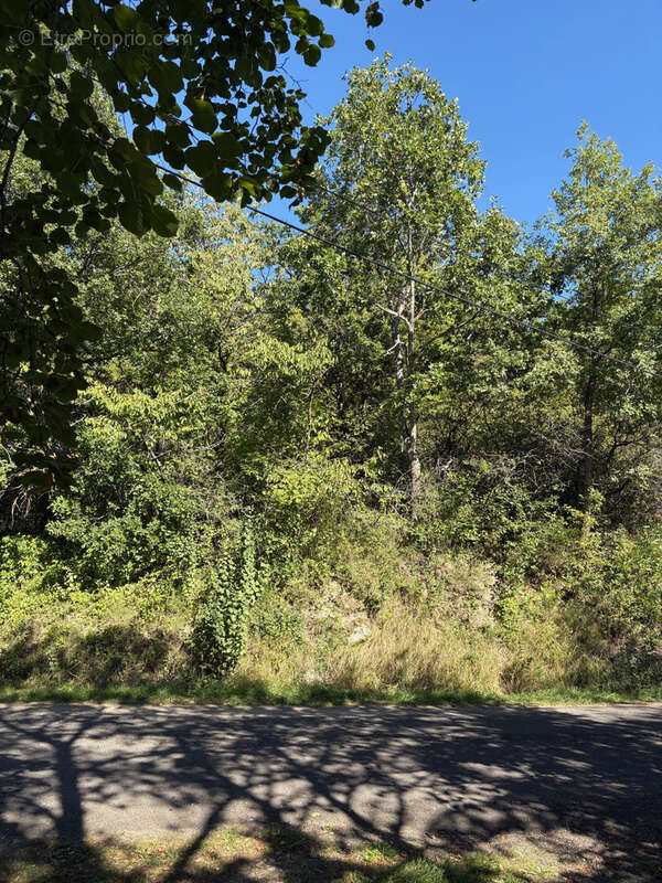 Terrain à YRONDE-ET-BURON