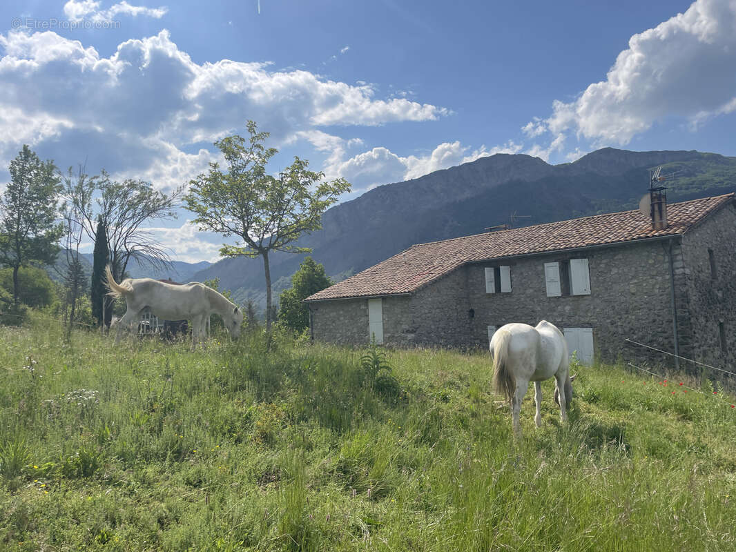 Maison à SISTERON