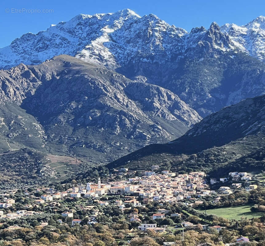 Terrain à CALENZANA