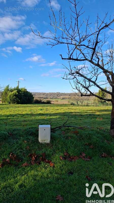 Photo 3 - Terrain à BERNEDE