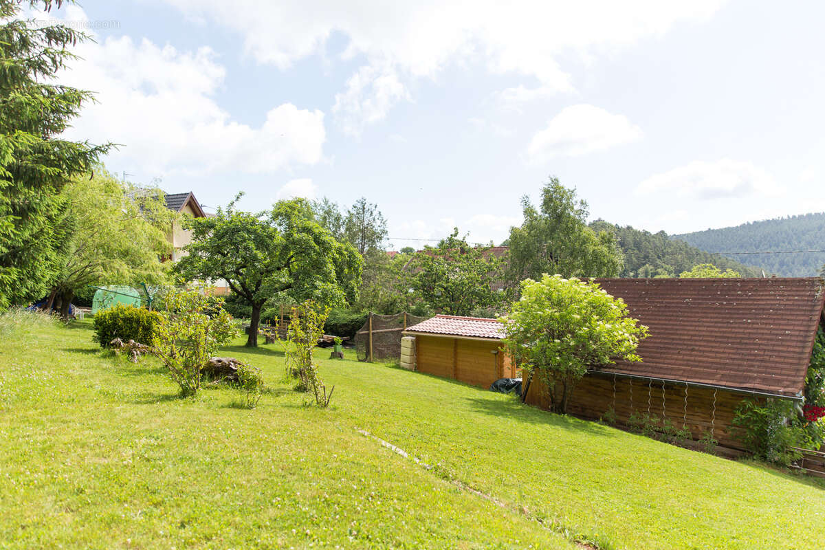 Maison à WANGENBOURG-ENGENTHAL