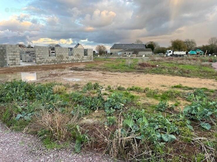 Terrain à NOYERS-BOCAGE