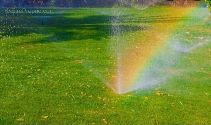 Terrain à LE CHAMP-SAINT-PERE