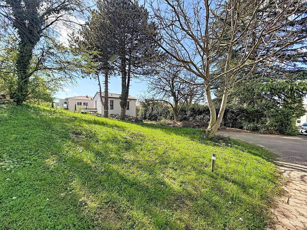 Terrain à SAINTE-FOY-LES-LYON