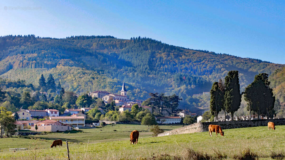 Terrain à AUSSILLON