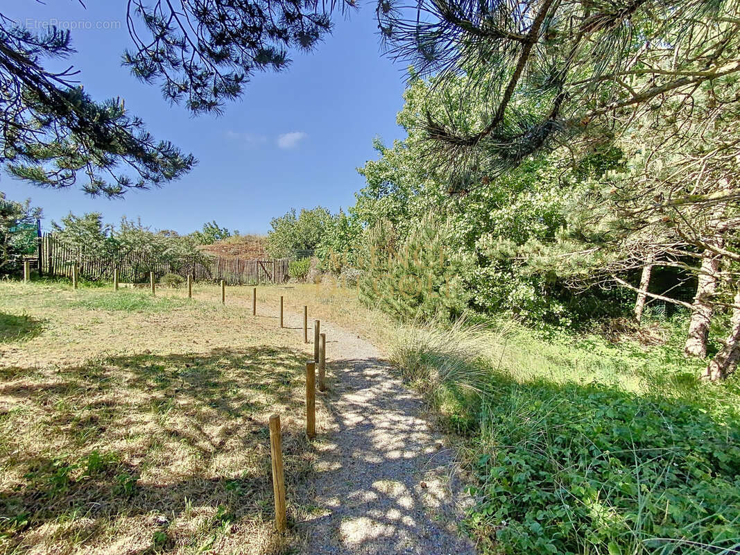 Villa d’Architecte avec Vue Mer et Dunes   Un Bien Rare à l’Élégance Contemporaine STELLA proche LE TOUQUET - photo 3