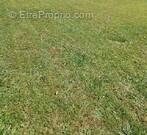 Terrain à BOISSY-LE-CHATEL