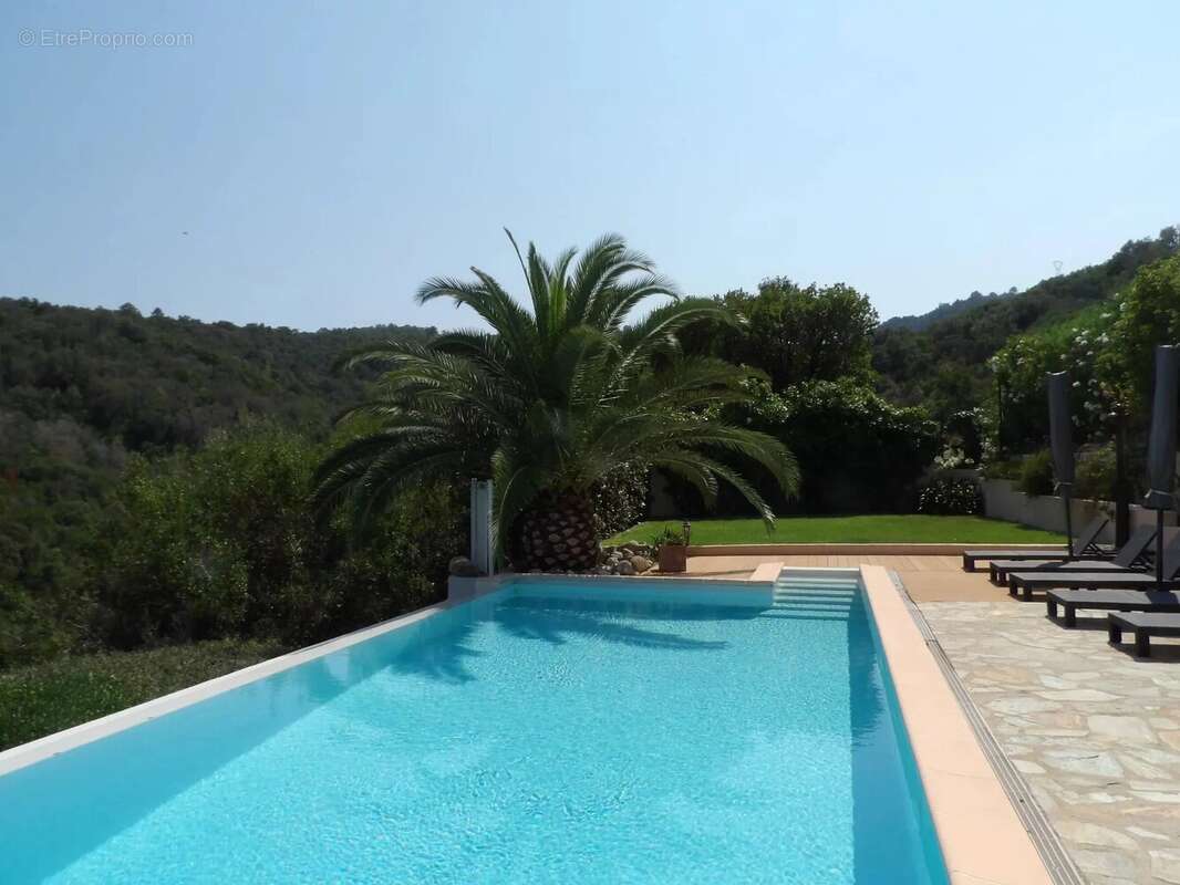 Maison à SARI-SOLENZARA