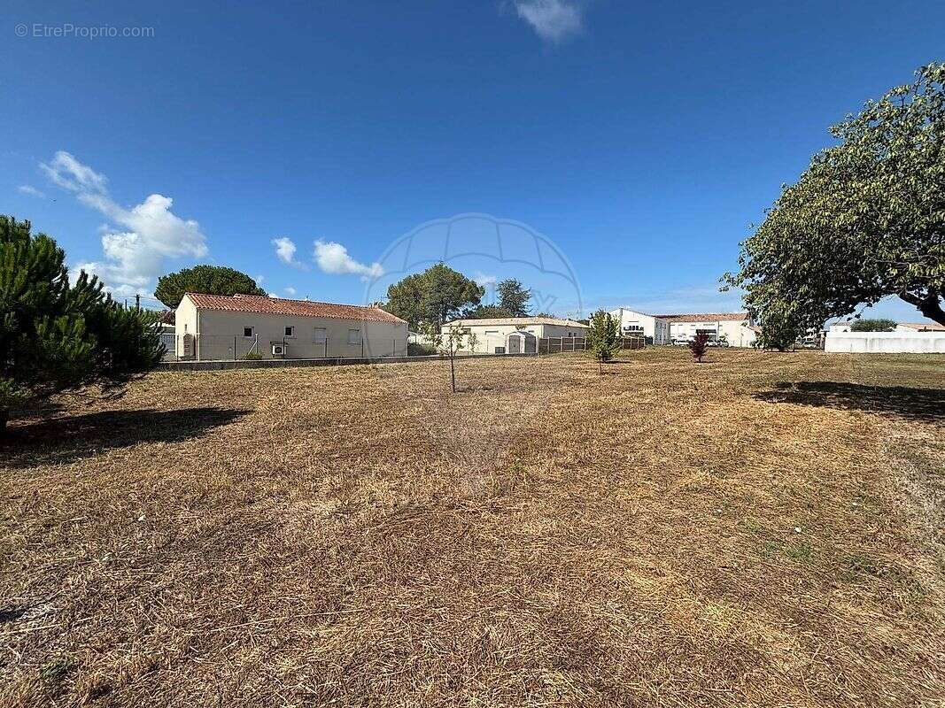 Terrain  à vendre - photo 3