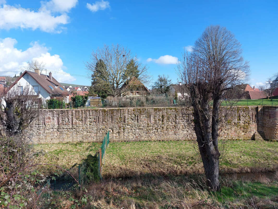 Maison à WISSEMBOURG