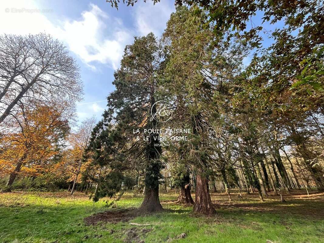 Vente propriete ancienne region rambouillet - photo 6