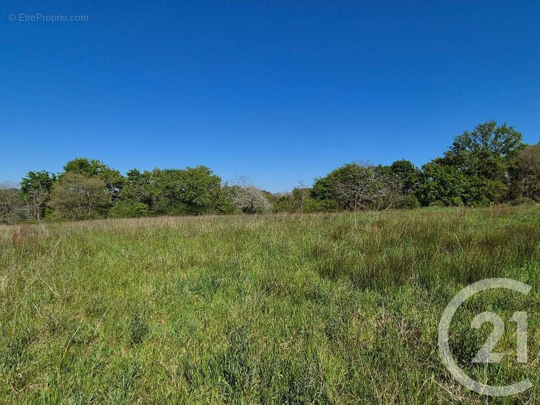 Terrain à SAINT-MEDARD