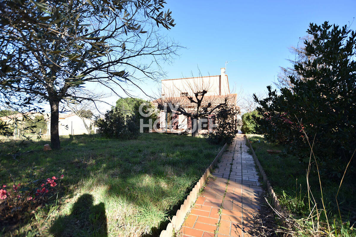 Maison à LAROQUE-DES-ALBERES