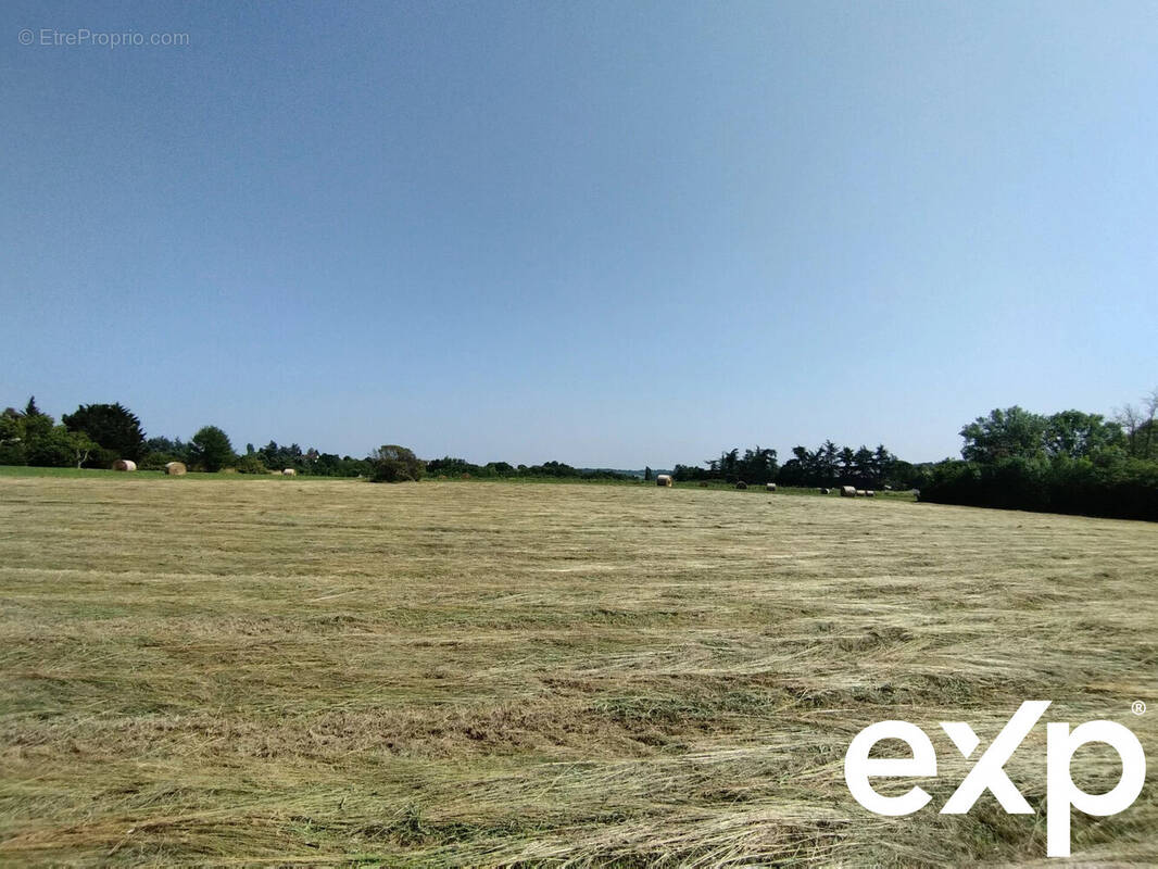 Terrain à CASTELNAU-MONTRATIER