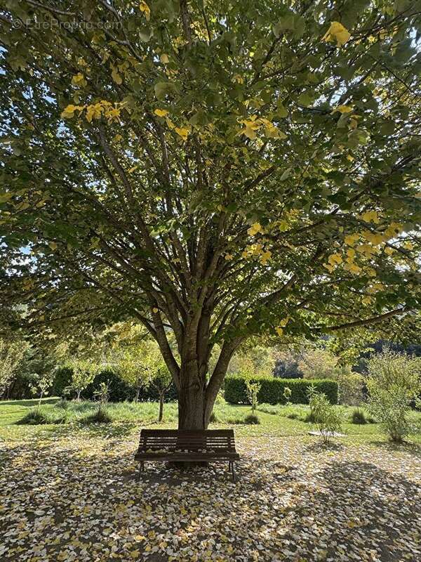 Maison à MEOUNES-LES-MONTRIEUX