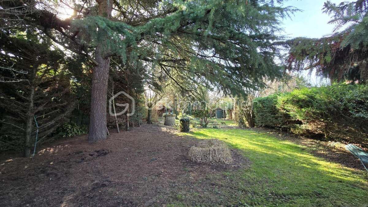 Terrain à VIGNEUX-SUR-SEINE