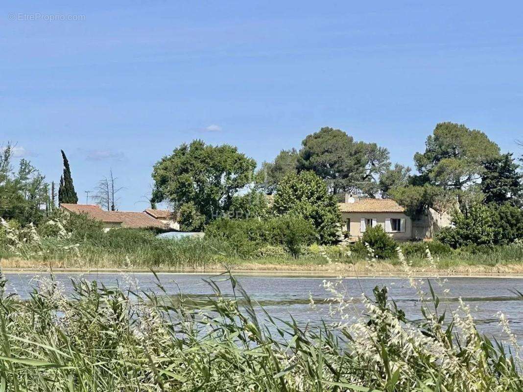 Mas familial sur 8000m2 de terrain à Arles - photo 23
