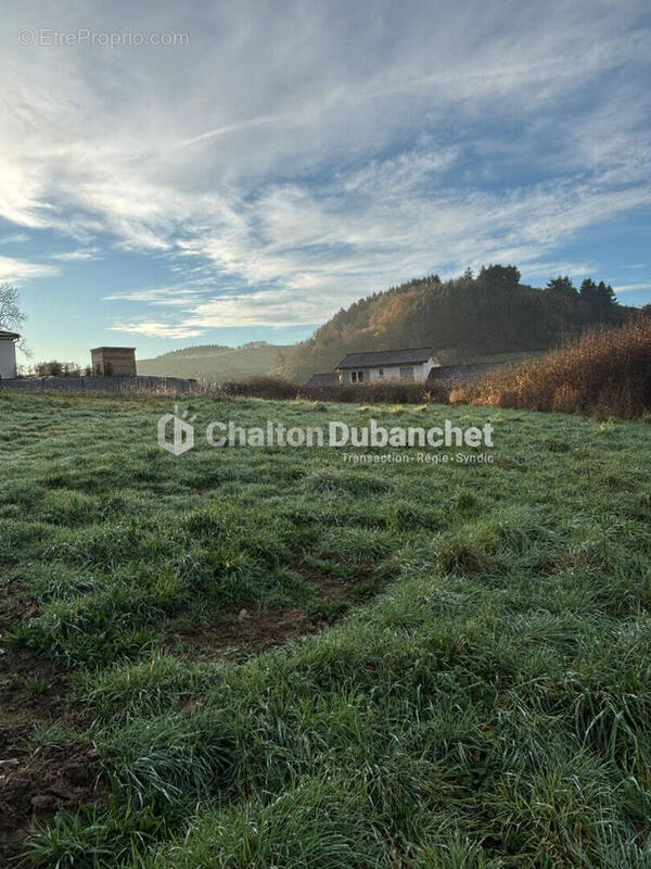 Terrain à SAINT-VICTOR-SUR-RHINS