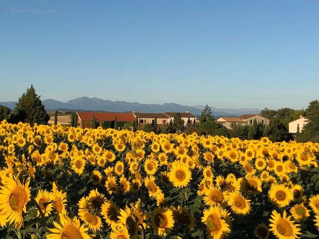 Maison à CARCASSONNE
