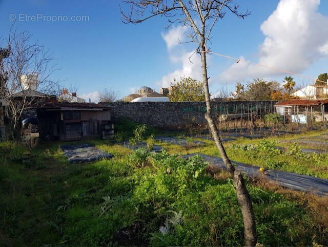 Terrain à PAIMBOEUF