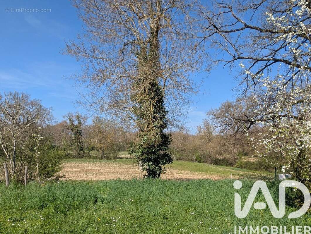 Photo 8 - Maison à FONTENILLES