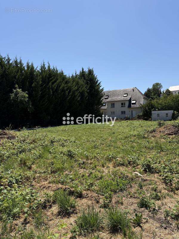 Terrain 1156 m² à Bartenheim  - photo 2