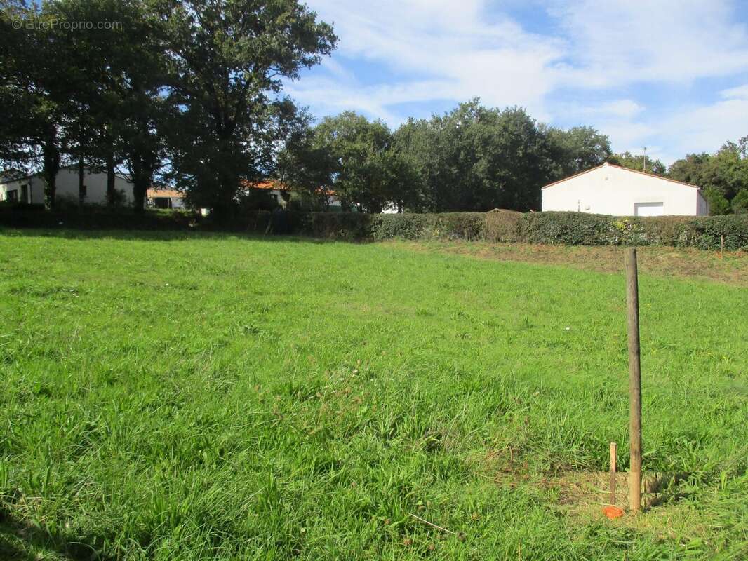 Terrain à SAINTE-FOY