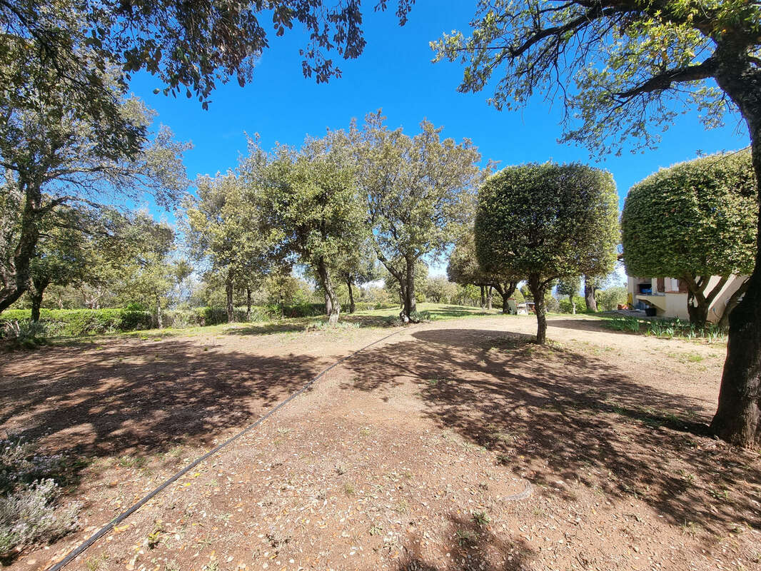 Maison à LAROQUE-DES-ALBERES