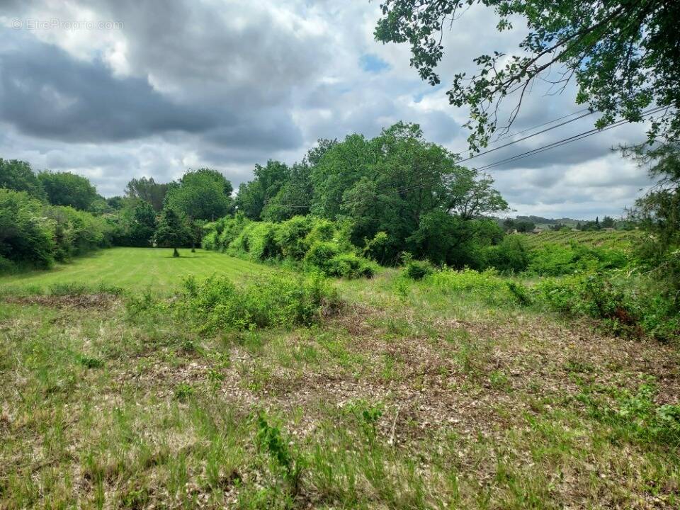 Terrain à BRUE-AURIAC